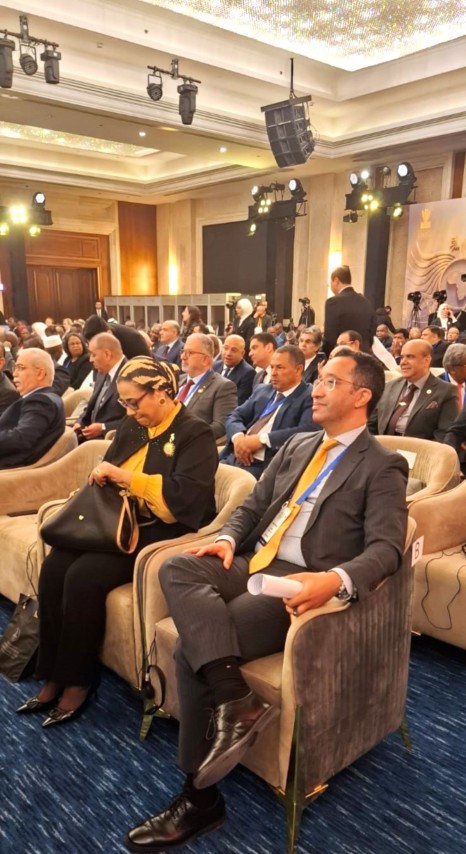 1000007290 (Pequeno) 